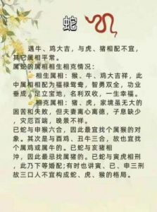 生肖配对深厚的缘分与婚姻幸福的生肖组合