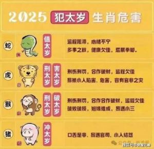 2025年蛇年整体运势！蛇年财运最佳TOP3 你上榜了吗？