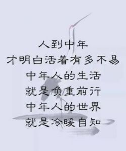 中年发达，前程光明，生活有望，财源广进，生肖财运亨通