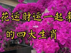 迎财运、接桃花，运势逆转的三大生肖！