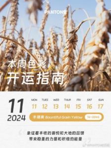 每周运势（11月11日至11月17日）：让意识觉醒，让丰盛回流！