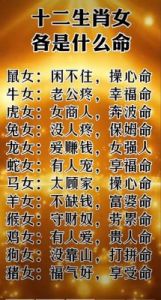 四大生肖：幸福满满，财富到来，人缘爆棚，桃花运佳！