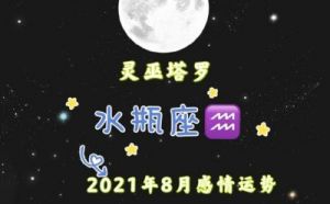 情感运势详解：水瓶座的2025年8月表现如何？