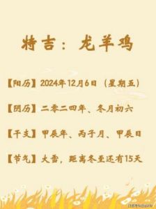 每日运势解读：2024年12月13日，星期五