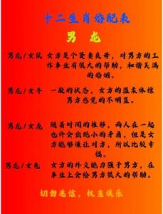 属龙人适合哪些属相伴侣？探讨其性格与关系的和谐配对