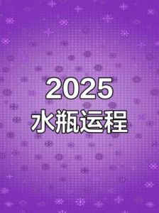 水瓶座2025年整体运势分析