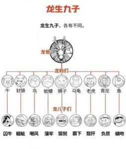 属龙的人与各生肖的配对解析及相处