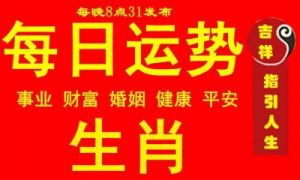 2025年1月3日各生肖的运势展望