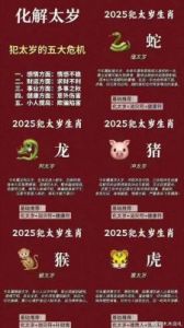 2025年蛇年生肖运势大揭秘：猪、鼠、牛、虎、兔、龙篇