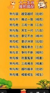 依靠自己判断行事，对爱情敏感，喜欢和人吵架的3生肖编辑