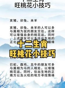 四大生肖展望：福气满满，桃花盛开