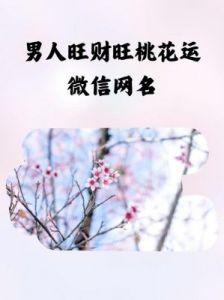 2025年起，桃花运看涨，进财渠道广泛的3大生肖