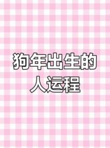 2006年属狗，2025年运势全面解析及发展趋势