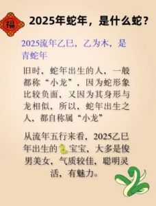 十二生肖-属蛇2025年的运程与运势详解