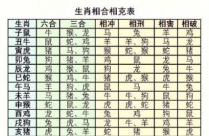 生肖解析：事业有成、家庭圆满，爱情高手！