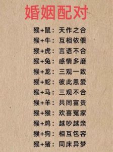 解锁十二生肖的最佳配对密码，找出你的天赐良缘是谁？