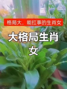 脾气虽急，却心胸宽广的四大生肖