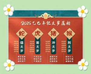 姜群：2025年生肖运势全解，特别关注生肖猴的整体运势！