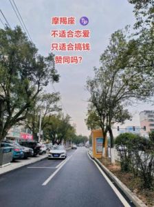 摩羯座：年轻时追求爱情，年长后重视财富