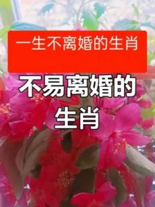 这四大生肖桃花盛开，爱情甜蜜长久，共赴白头之约！