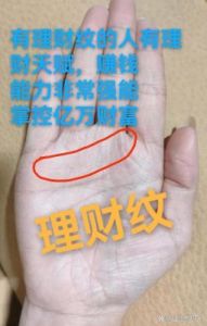 相学探索：通过手相解读财富的全景总结（掌纹、指纹、痣点分析）