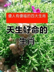 告别旧岁，四大生肖迎接好运与福气