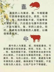 三大生肖完美配对，默契无间，幸福美满