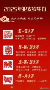 李丞责2025年蛇年运势详解｜生肖运势全面解析（鸡、狗、猪、鼠）