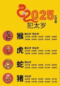 2025乙巳年：揭开十二生肖运势的神秘面纱，究竟是火年还是水年？