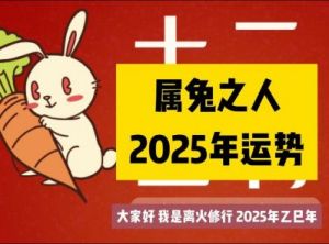 2025年兔年运势解析：十二生肖兔的全年及每月运程指南