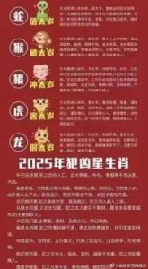 2025年十二生肖运势全面解析 蛇年运势详解