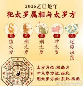 2025年2月生肖运势分析：马、羊、猴、鸡、狗、猪的运势解读