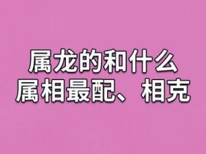 属相龙与属相马之间的相配程度如何