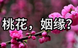 幸福生活与甜蜜爱情，四大生肖喜事降临，桃花盛开恰逢其时！