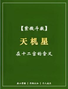 元观紫微|天机星：把握翻盘转变的时机，塑造事业和人生。