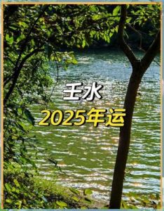 2025年壬水日主生活指南：探讨乙巳年整体运势