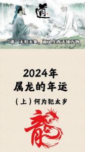 2024龙年运势与生肖解析：12月22日的运程展望