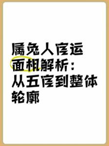 事业运解析：兔年男性的职业运势与挑战