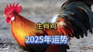 2025年生肖鸡的爱情与财运全景解析