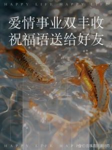 2025年十二星座：能否在爱情与事业中双丰收？