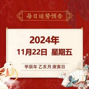 2024年11月22日生肖运势前瞻