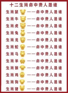 2025年这些生肖将迎来贵人相助！