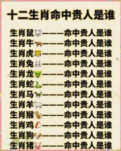 6位贵人揭秘：鼠年人非凡的缘分之旅！