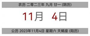 2024年11月24日 十二生肖运势解析