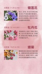 越独立越幸福，四大星座被誉为女强人