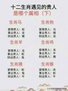 四个生肖性格冷淡，绝不主动交友