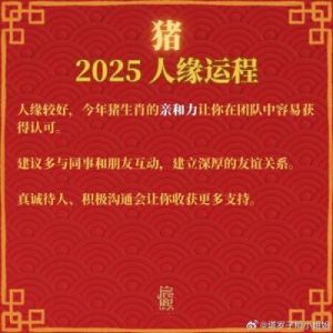 2025年属猪人全面运势解析与发展规划指导