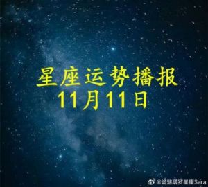 重要天象：2024年11月26日十二星座运势解析——水逆来袭