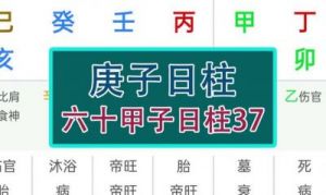 2025年哪些八字日柱的人更容易脱单？——王镜海