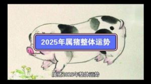 29岁属猪人适合的行业与创造财富的生意，2025年运势全解析